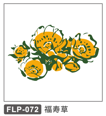 FLP-072 福寿草